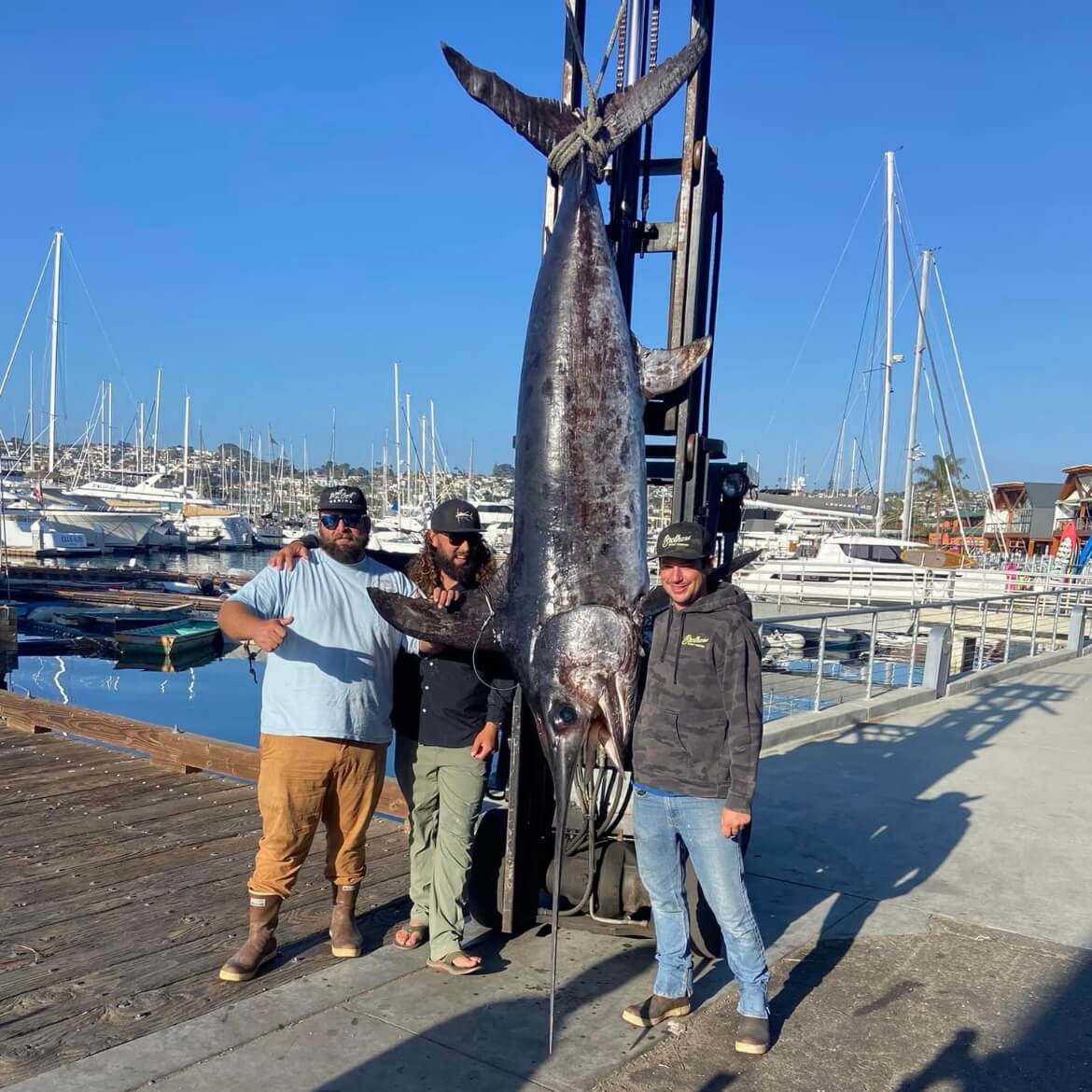 swordfish fishing san diego